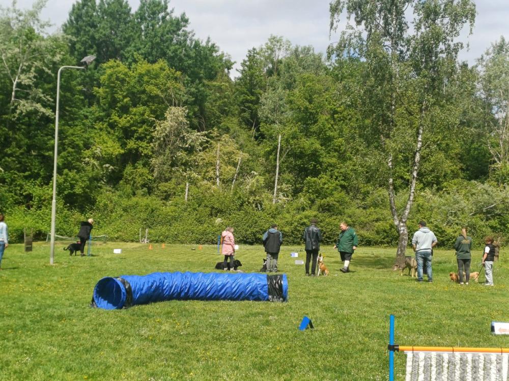 IMG-20250504-WA0105